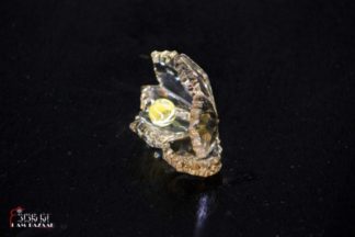 Oester schelp in goud kristal (Asfour)